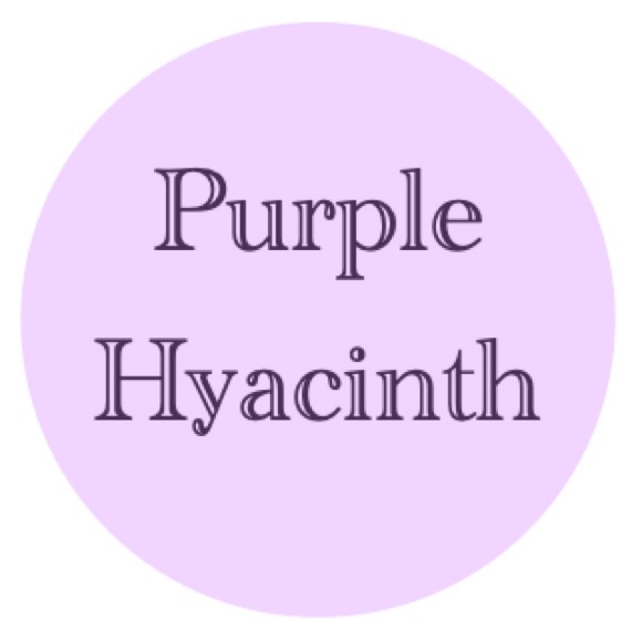 purplehyacinth